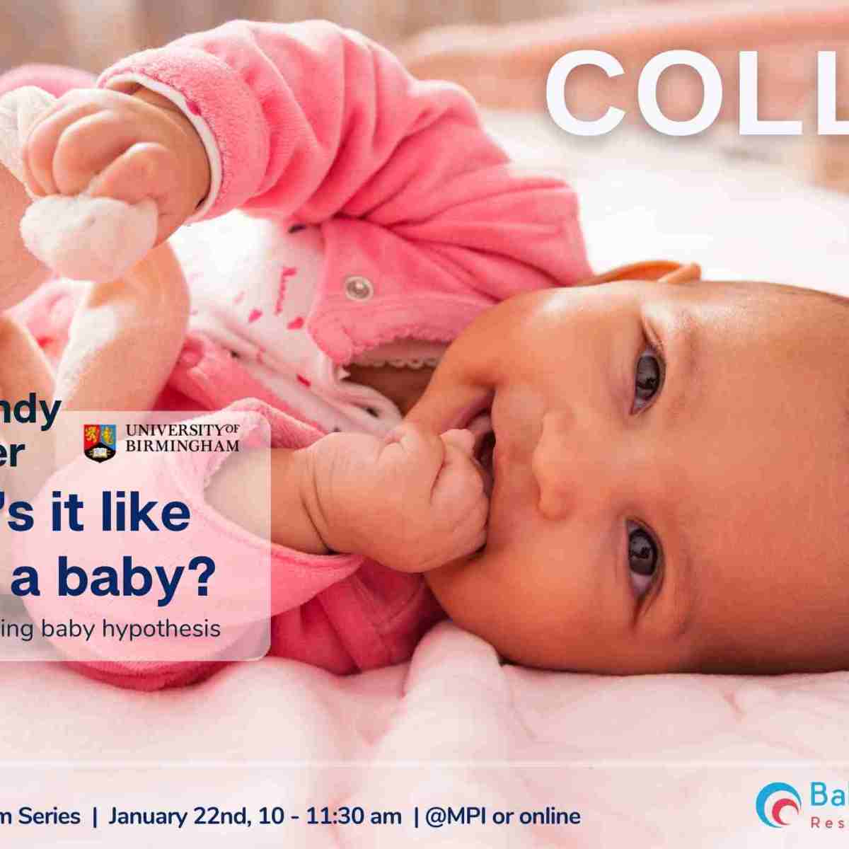 BRC Colloquia: you are invited!